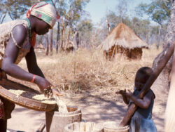 Zambia ok.jpg