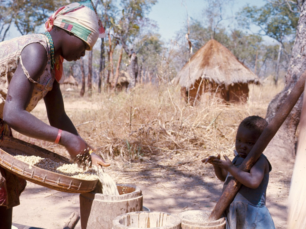 Zambia ok.jpg