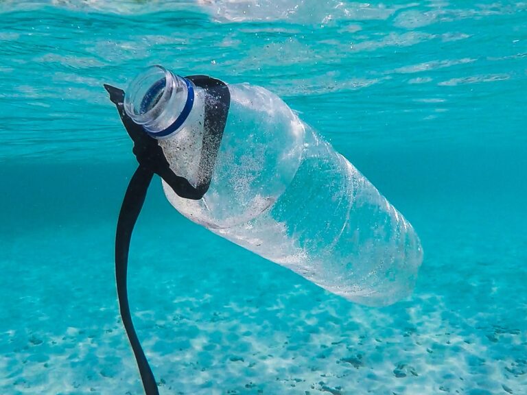 Life beyond plastic