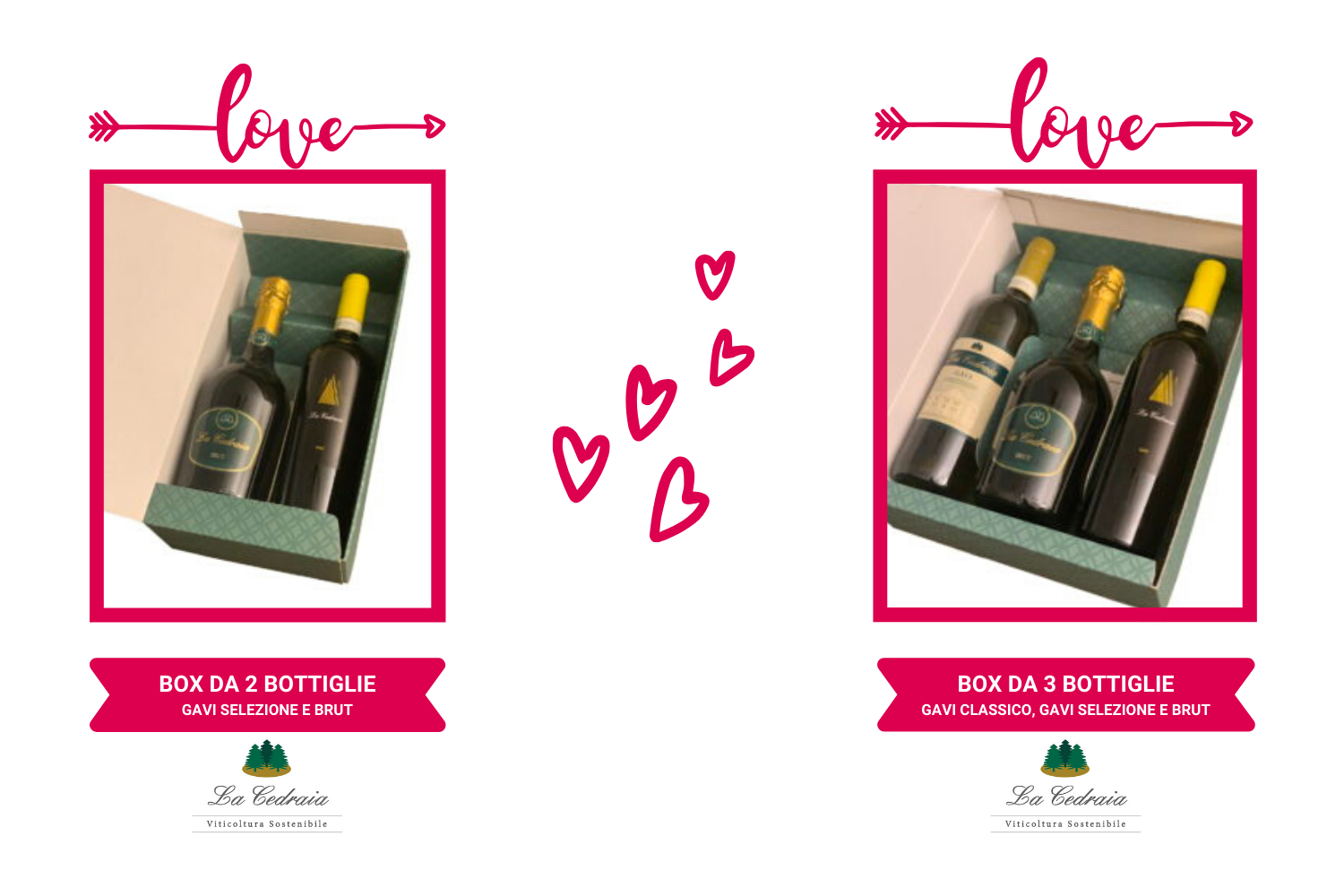le bottiglie della cantina la cedraia regalo solidale di san valentino