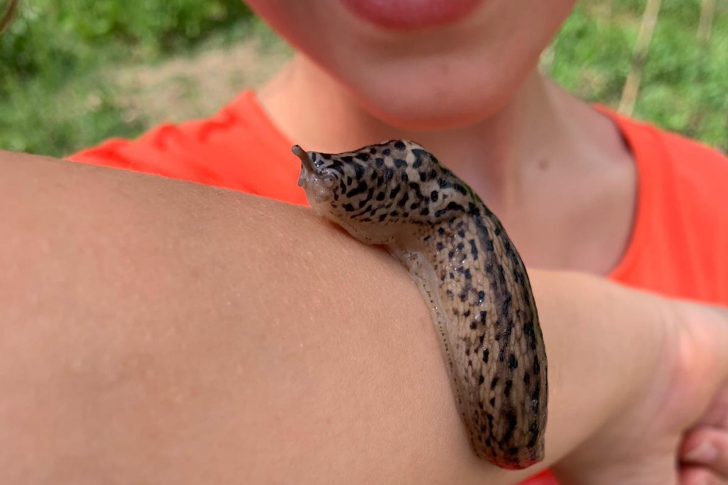 Un bambino con una lumaca sul braccio