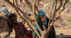 mbine in un campo yemen