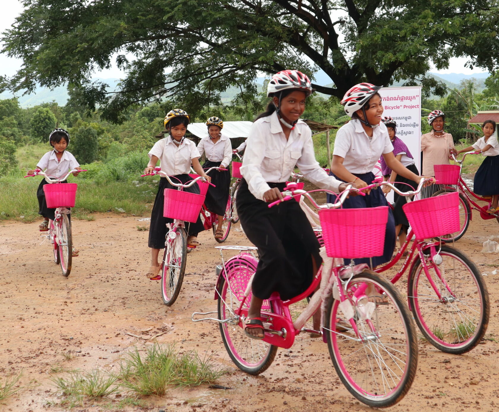 pink_bicycle_focus