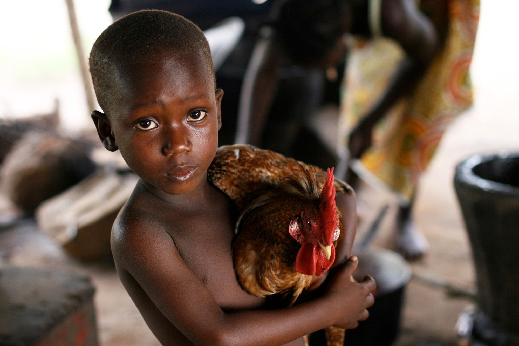 Landing progetto galline Congo